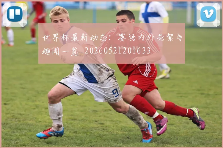 世界杯最新动态:赛场内外花絮与趣闻一览_20260521201633