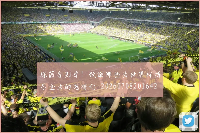 绿茵告别季！致敬那些为世界杯拼尽全力的老将们_20260708201642