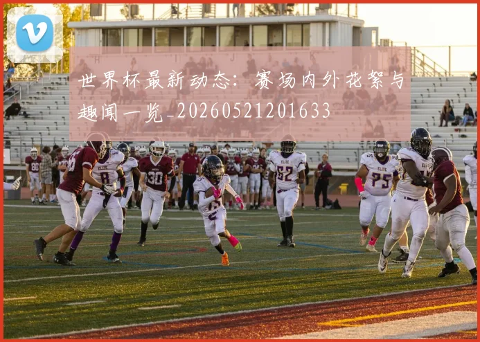 世界杯最新动态：赛场内外花絮与趣闻一览_20260521201633